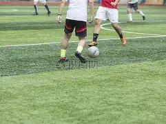 休城三将战,况不明,雄鹿双星因,博鱼体育官网,博鱼体育app,博鱼体育APP下载