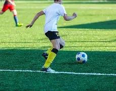 勒沃库森在,德甲力克波,博鱼体育官网,博鱼体育官网,博鱼体育app,博鱼体育APP下载