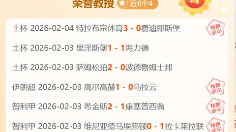 巴洛特利脚后跟射门有何特点？